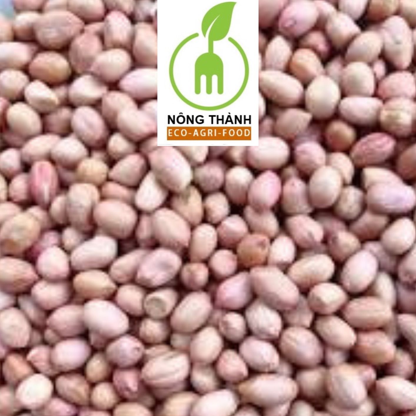 Đậu Phộng 1 Kg: Đều hạt, dẻo thơm dùng nấu xôi, nấu chè, đậu rang