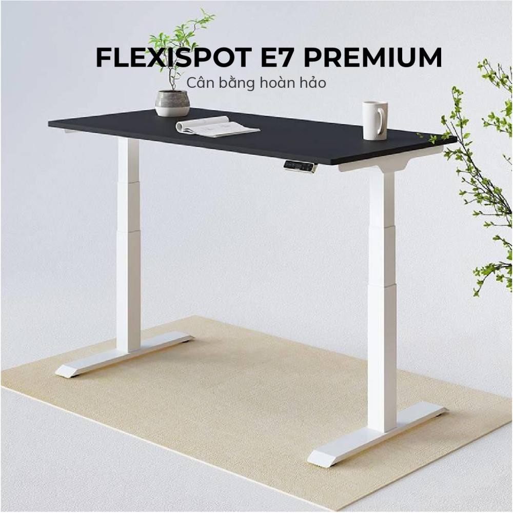 Bàn nâng hạ thông minh ergonomic flexispot e7 - et223 không mặt bàn