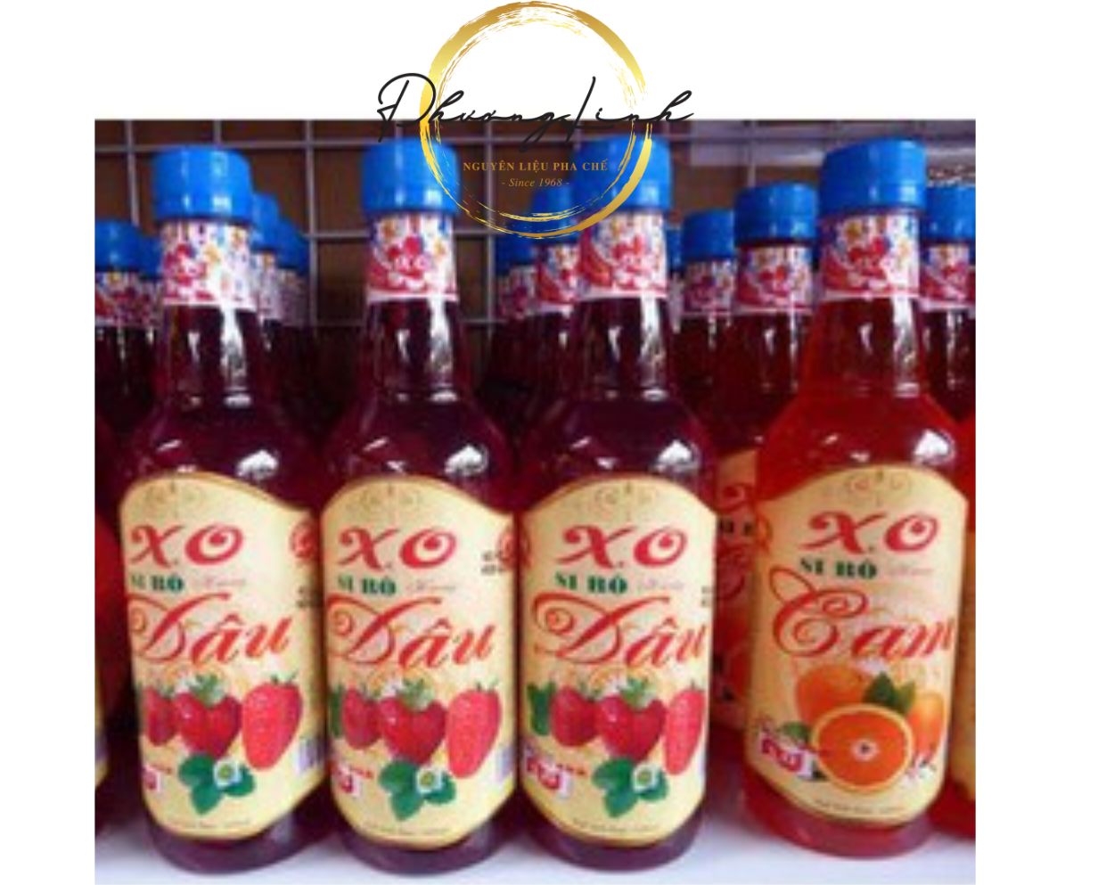 Siro  Vị  Sâm Dứa  Hiệu X.O Thể Tích Chai 500ml Sản Phẩm Như Hình Mô Tả 100%