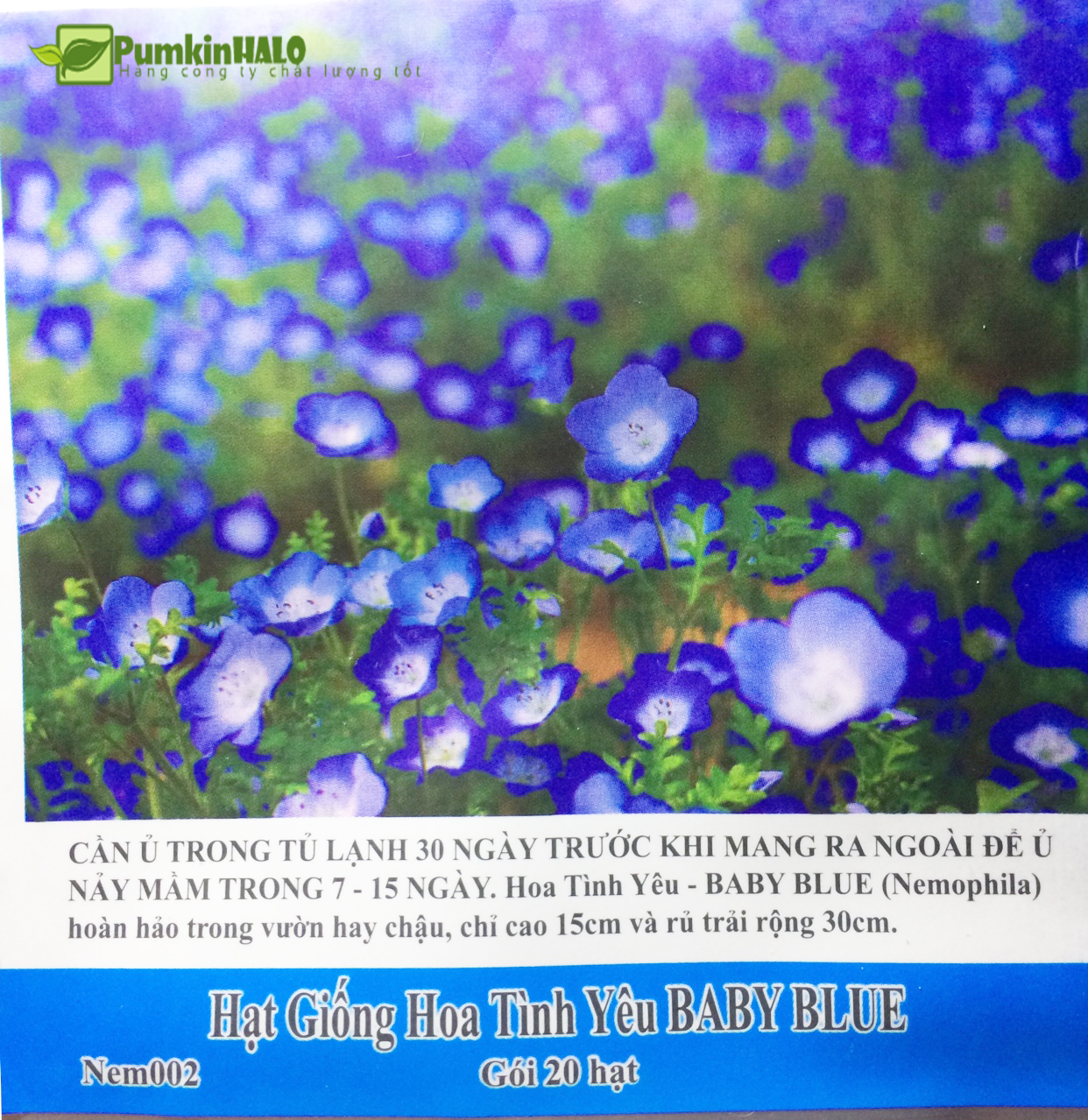 [HCM]Hạt giống hoa baby Blue tình yêu  -gói 20 hạt tỉ lệ nảy mầm85%