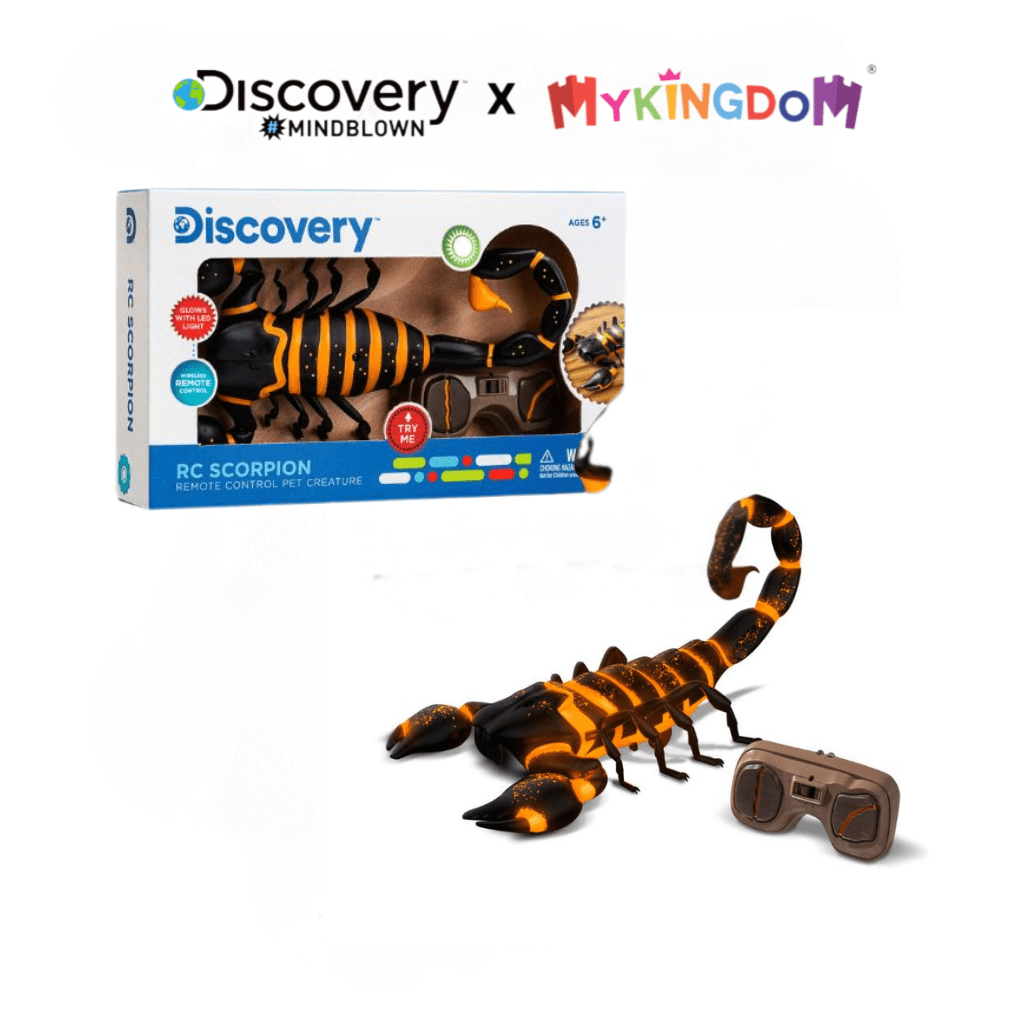 Đồ Chơi STEAM Bò Cạp Dung Nham 1312007001