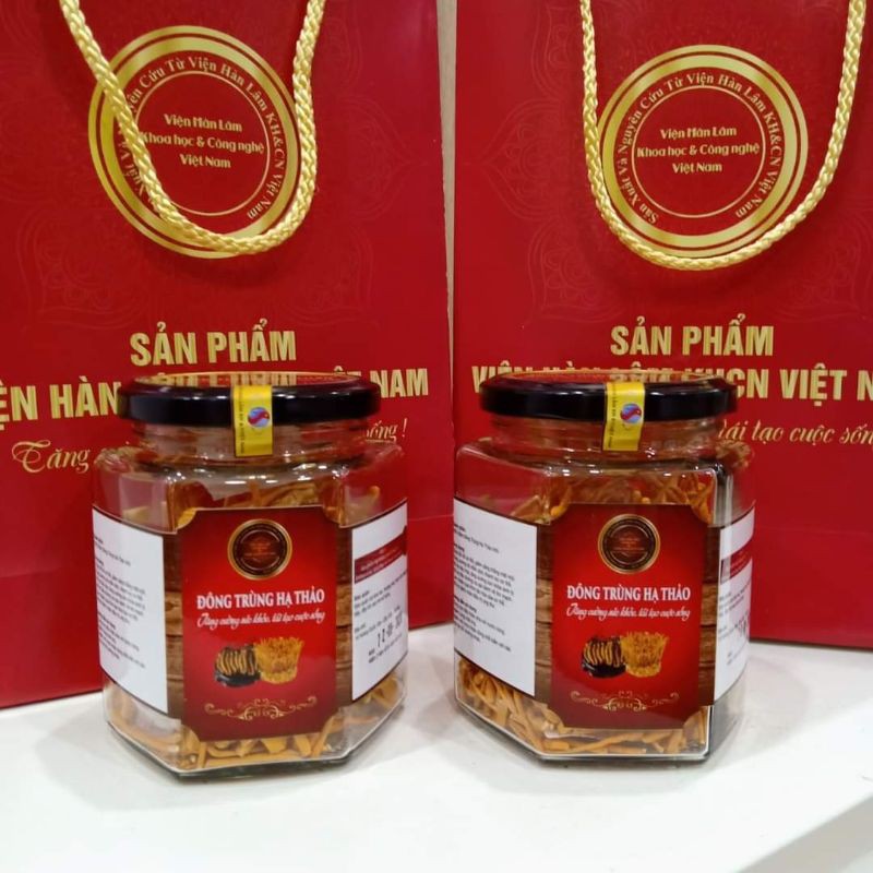ĐÔNG TRÙNG HẠ THẢO – CHÍNH HÃNG VIỆN HÀN LÂM KH VÀ CN VIỆT NAM