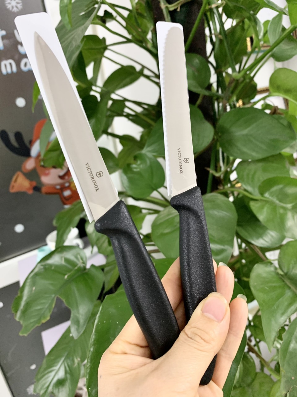 Combo 2 món dao thẳng 10cm+ dao rc 11cm victorinox