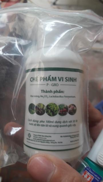 Chế phẩm vi sinh từ đậu tương p-gro 100ml