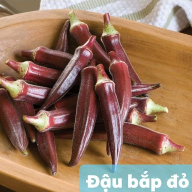 Hạt giống đậu bắp đỏ f1 mỹ johny seed dễ trồng hũ 2gr ~ 30 hạt