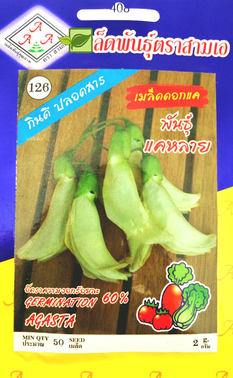 [HCM]Hạt Giống Hoa Sua Đũa Thái Lan_gói 2gram (50 hạt) .