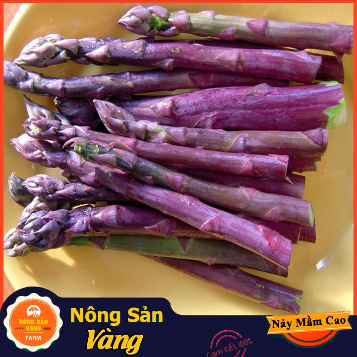 [HCM]Hạt giống Măng Tây Tím ( Gói 10 Hạt ) - Nông Sản Vàng