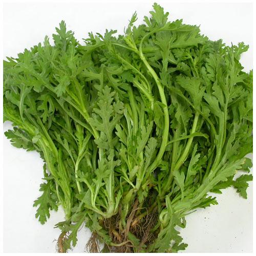 Hạt giống rau tần ô
