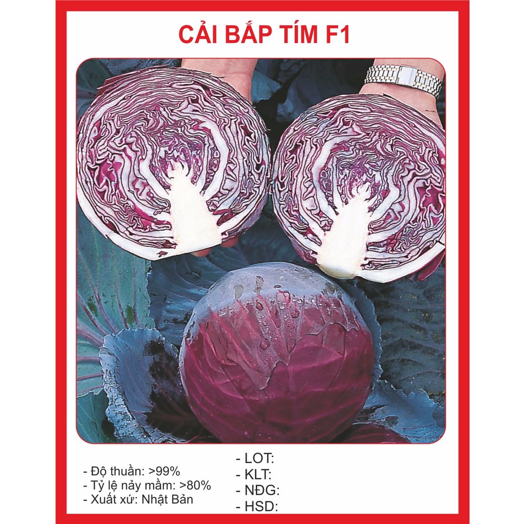 Hạt Giống Bắp Cải Tím F1 - 0.5gram~100Hạt