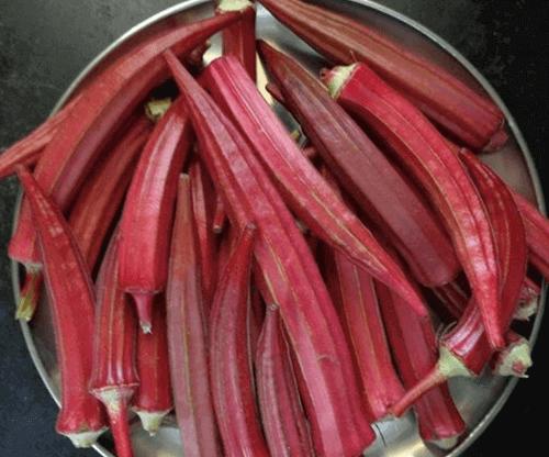 Gói 1g hạt giống đậu bắp đỏ cao sản