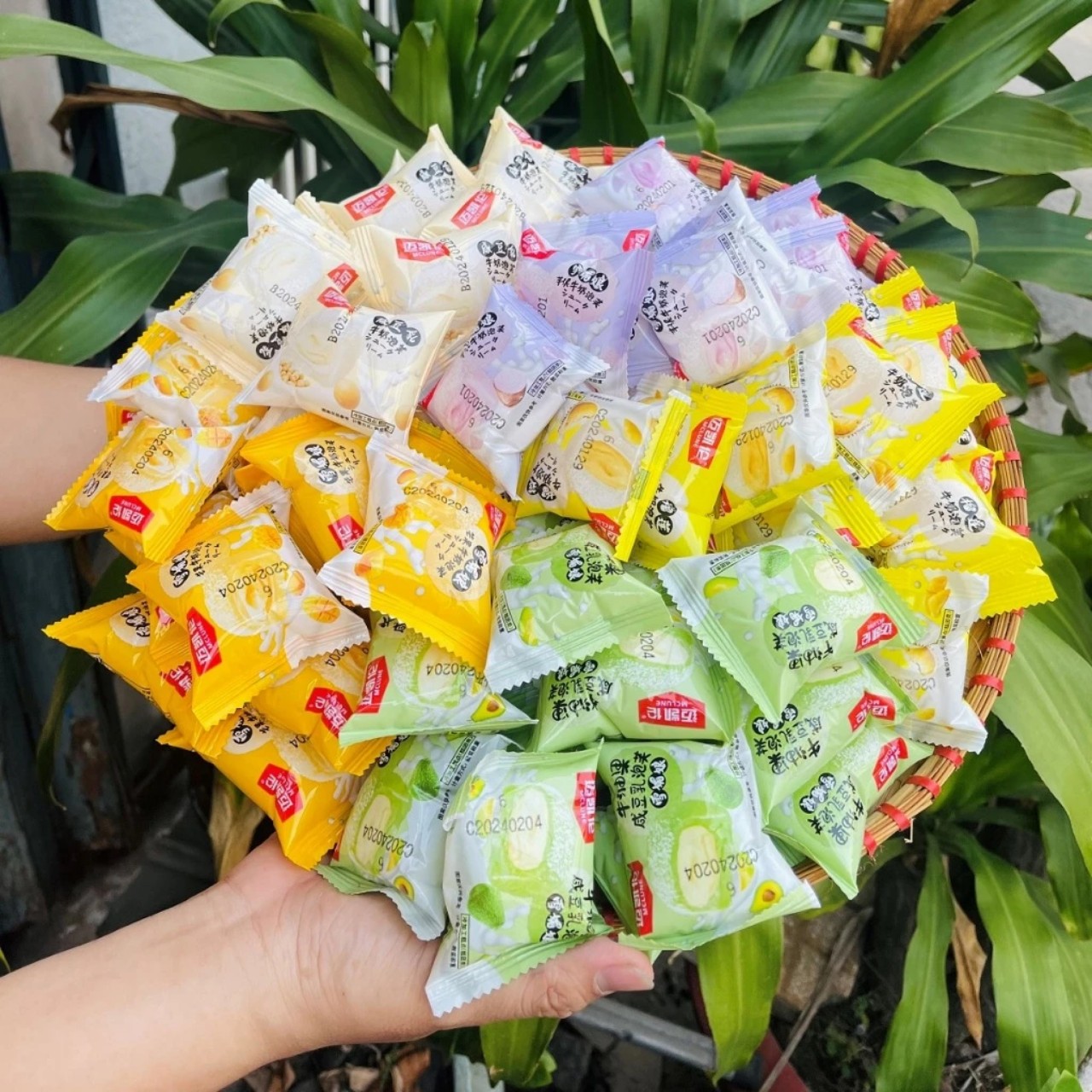 1KG BÁNH MOCHI 6 VỊ NHÂN KEM SỮA VỊ - ĐẬU NÀNH - KHOAI MÔN - SẦU RIÊNG - ĐÀO - XOÀI - BƠ - SIÊU NGON, THƠM BÉO