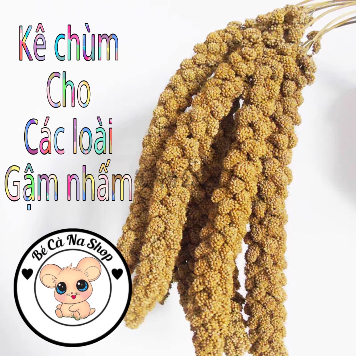 Kê chùm gò công cho hamster ,chim , vẹt vv..