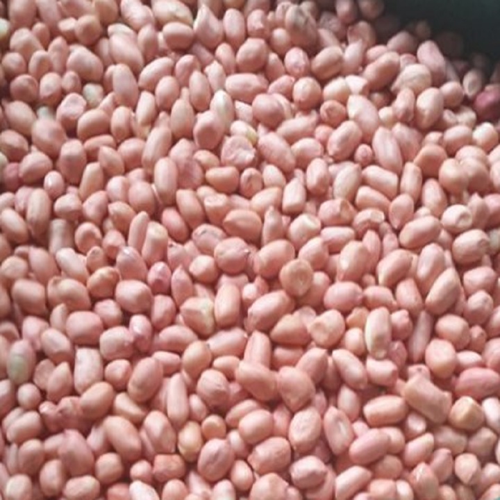 Đậu Phộng Sống 1kg