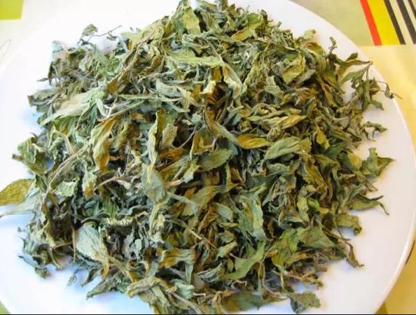 💥 cỏ ngọt nguyên lá không gây béo