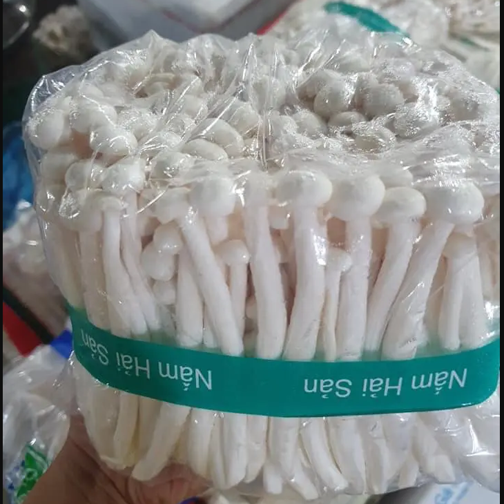 Nấm hải sản (1kg), nấm hải sản tươi, thơm ngon, bổ dưỡng