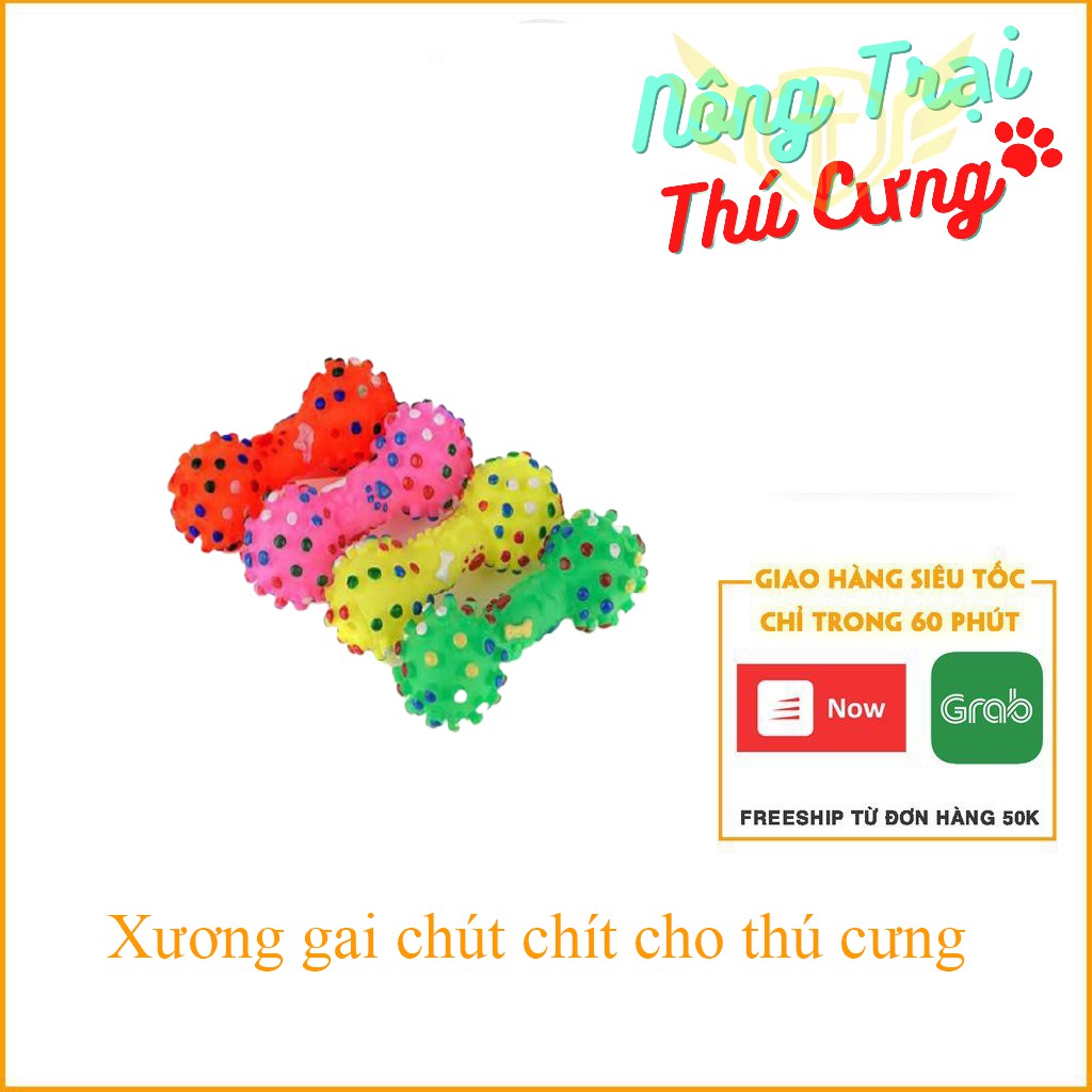 Xương gai nhiều màu – đồ chơi chó