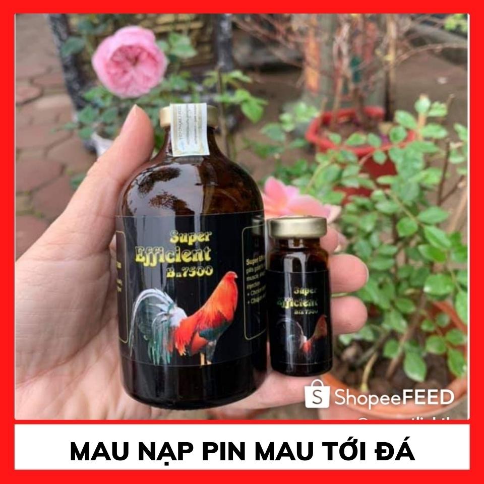 B12 7500 Nuôi gà tăng bo , Không Nóng Gà,Hừng Đỏ Mặt Gà Mau Tới Vần,bền Bỉ Trong Trận Đấu nhập khẩu Mexico chính hãng thuốc gà đá, thuốc cho gà đá, thuốc tăng bo gà đá