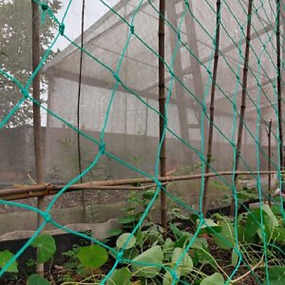 Lưới thái làm giàn cây leo
