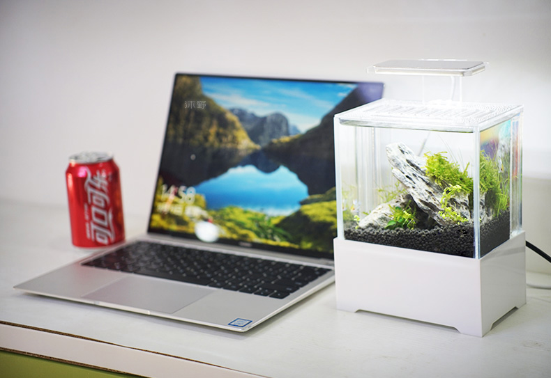 Bể cá thủy sinh Mini để bàn 03