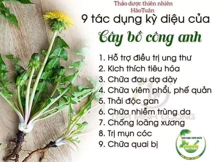 1KG BỒ CÔNG ANH