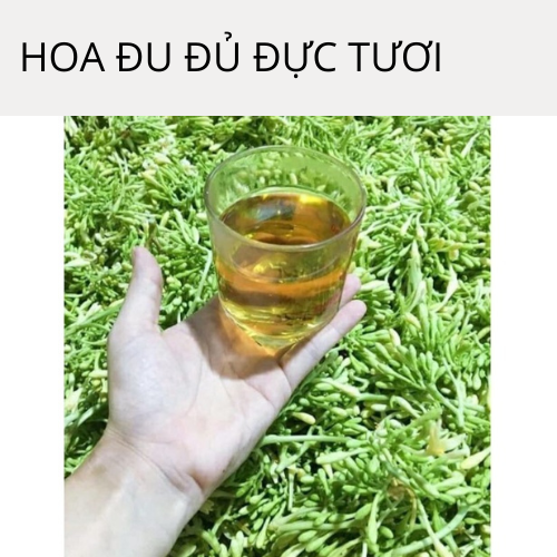 Hoa đu đủ đực tươi - rất tốt cho sức khỏe