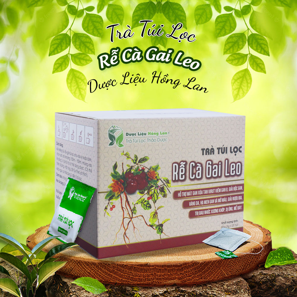 Trà Rễ Cà Gai Leo túi lọc hộp 60g (20gói x3g) Hồng Lan – Hỗ trợ mát gan xóa tan virut viêm gan B, giải độc gan, vàng da, hạ men gan và mỡ máu, giải rượu bia, trị đau nhức xương khớp, dị ứng, mề đay.