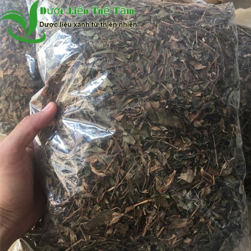 500g lá đinh lăng khô - cao cấp đinh lăng nếp lá nhỏ