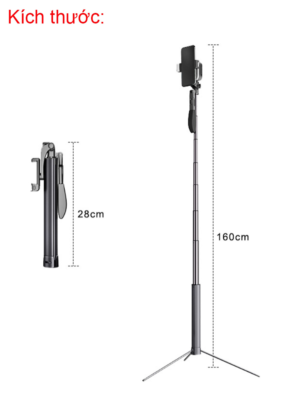 Gậy chụp hình dài có Gimbal Chống rung Gậy tự sướng selfie livestream tripod - CYKE21