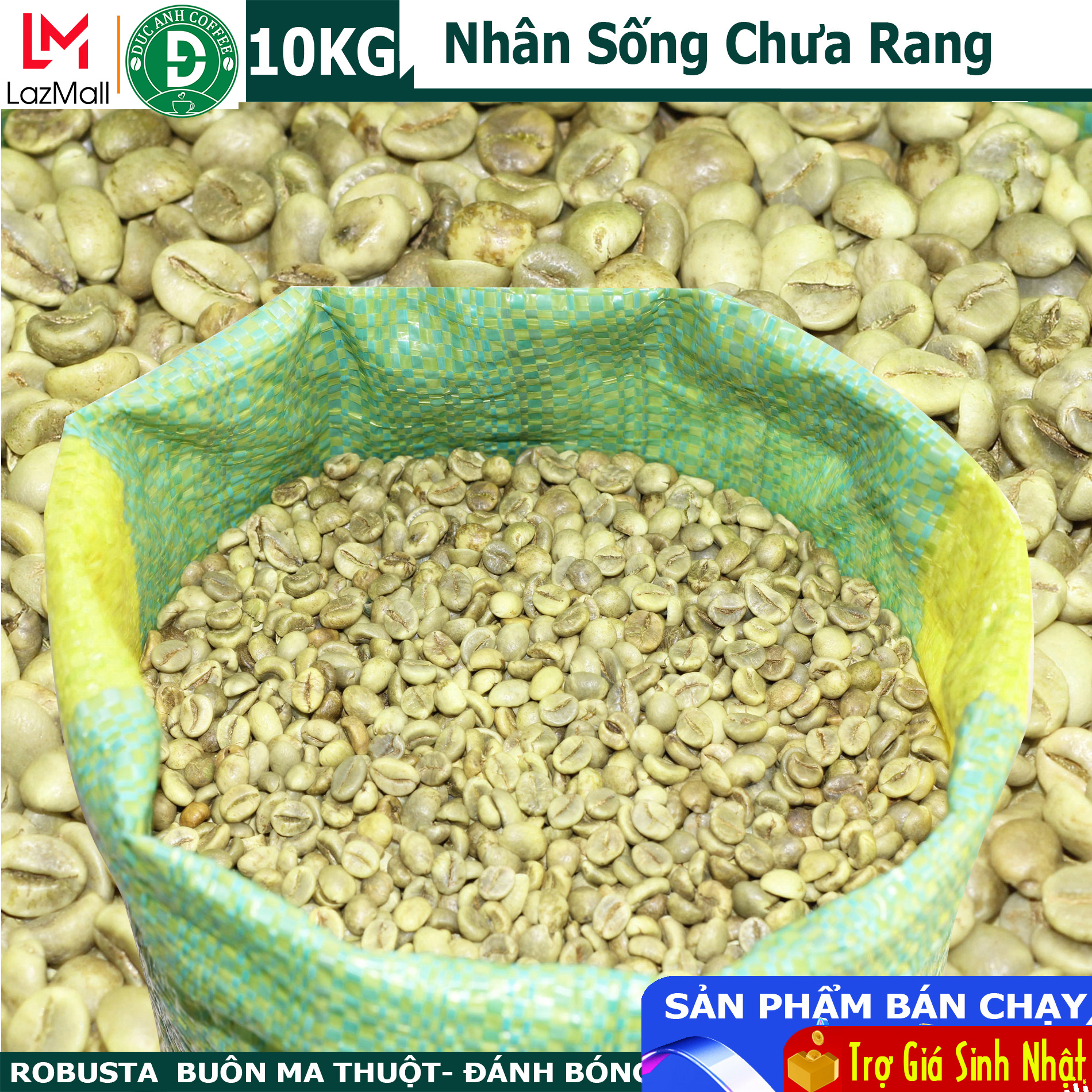 [Có Ship Hỏa Tốc] 10KG cafe nhân sống chưa rang Robusta Buôn Ma Thuột - sàng lọc kỹ, trên sàn 18 chuẩn xuất khẩu - sản phẩm của DUC ANH COFEE - cà phê nhân sống