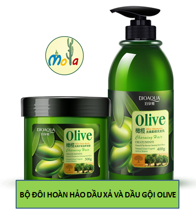 Cặp dầu gội dầu xả ngăn rụng tóc phục hồi tóc hư tổn olive bioaqua mola