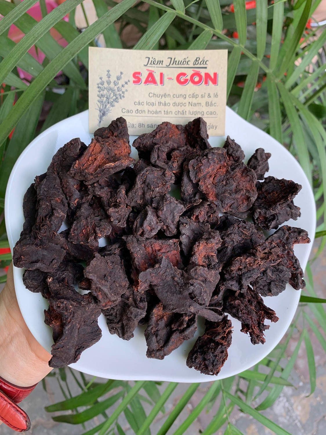 [HCM]Hà Thủ Ô Ông Tiên 100gram