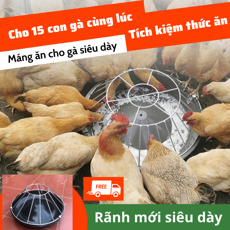 Bombo 20 Máng gà ăn tự động - Cải tiến không bị bới như loại cũ - Tiện lợi kinh tế - Tiết kiệm thức ăn do không rơi vãi