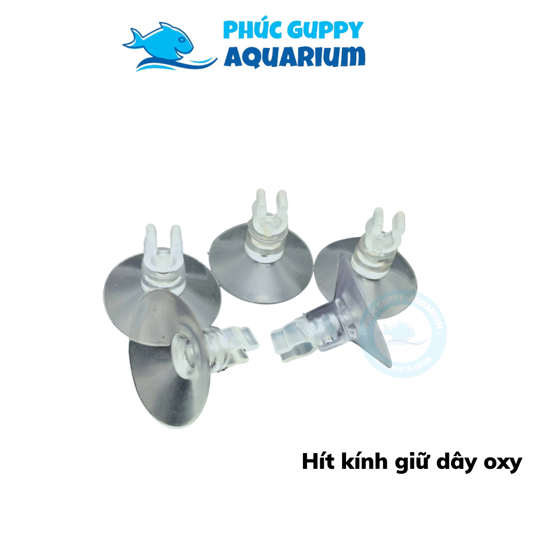Hít kính giữ dây sủi oxy, dây co2 cho hồ cá, hồ thuỷ sinh