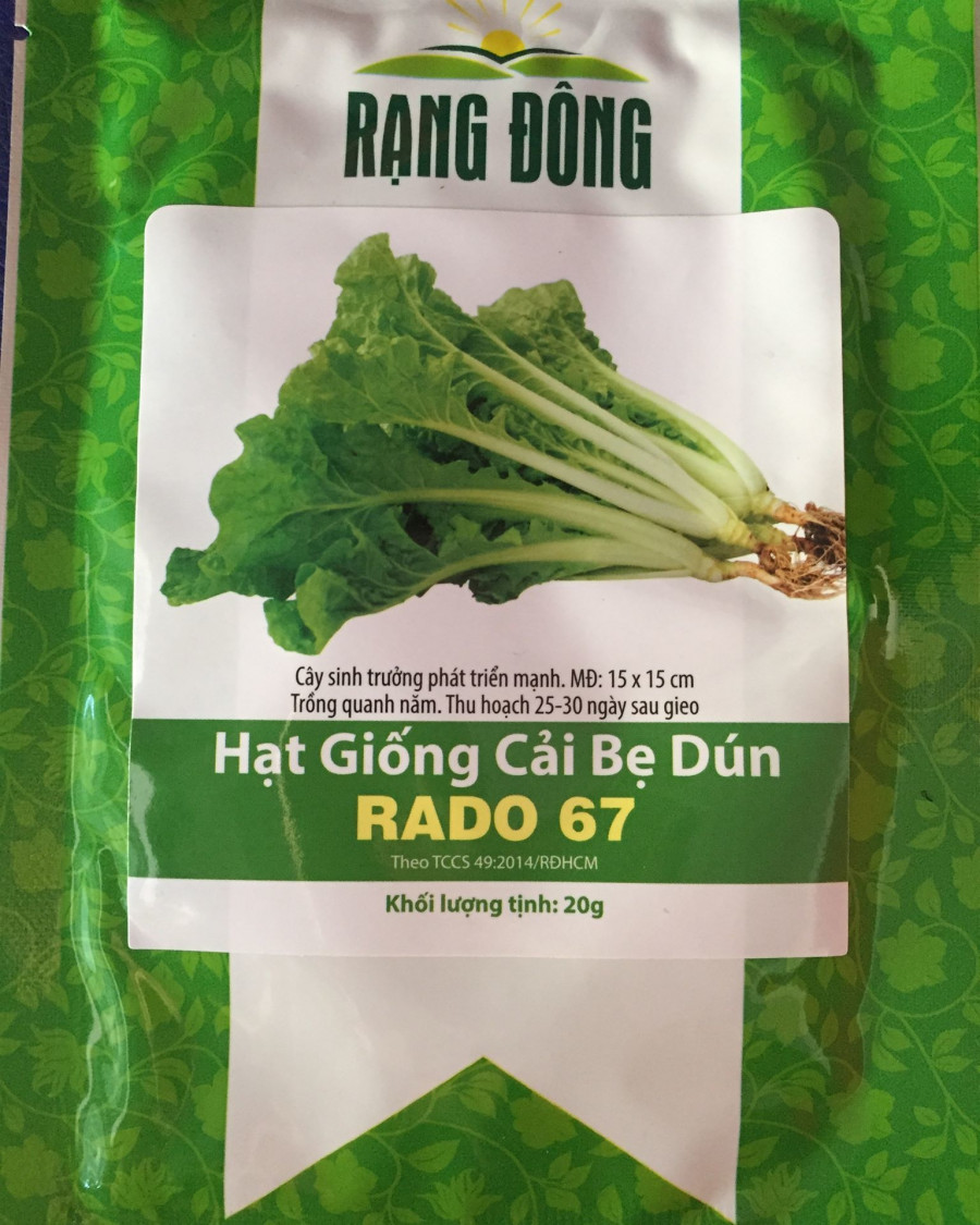 Hạt giống cải bẹ dún Rạng Đông