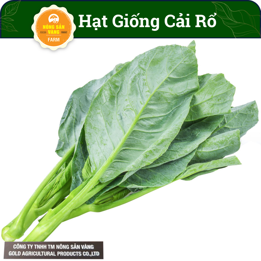 Hạt giống cải rổ nảy mầm cao, sinh trưởng và phát triển khỏe, kháng bệnh cao - nông sản vàng