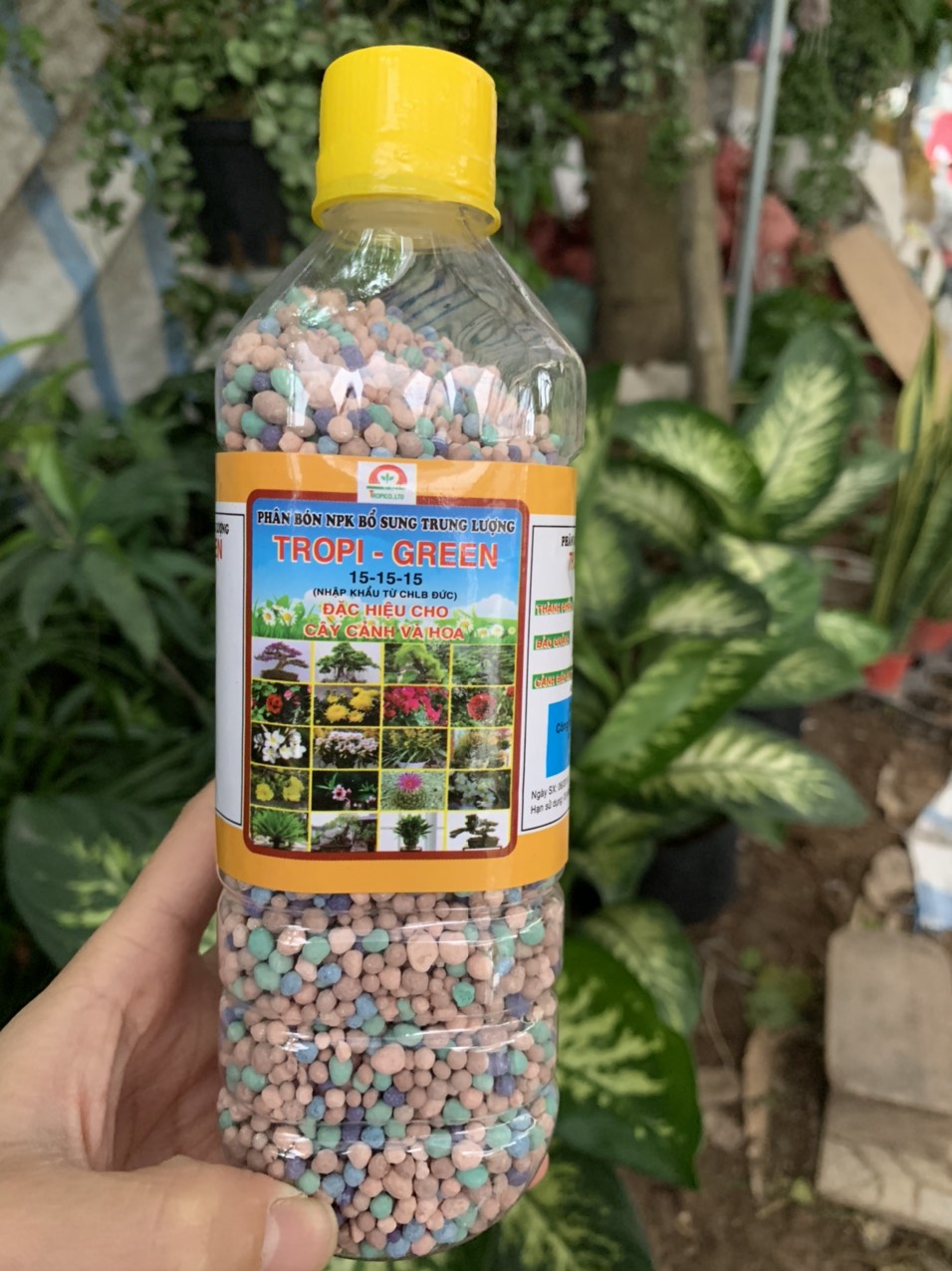 Phân bón đức 15-15-15 chuyên dùng cho hoa, cây cảnh