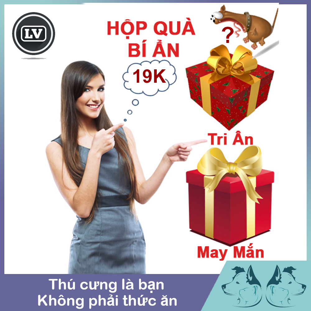 [TRI ÂN KHÁCH HÀNG] Hộp quà bí ẩn dành cho chó Phụ Kiện Long Vũ