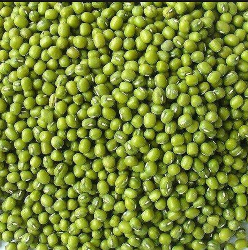 500g đậu xanh [loại ngon] nguyên hạt làm giá - nấu chè đậu quê dân giã