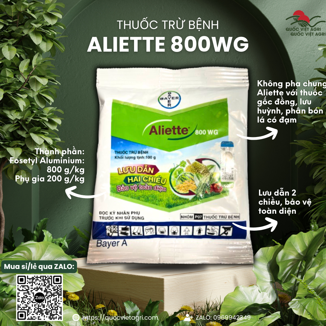 Thuốc trừ bệnh ALIETTE 800WG (gói 100g) - Fosetyl Aluminium 800g/kg Tác động lưu dẫn 2 chiều cho cây trồng phổ rộng