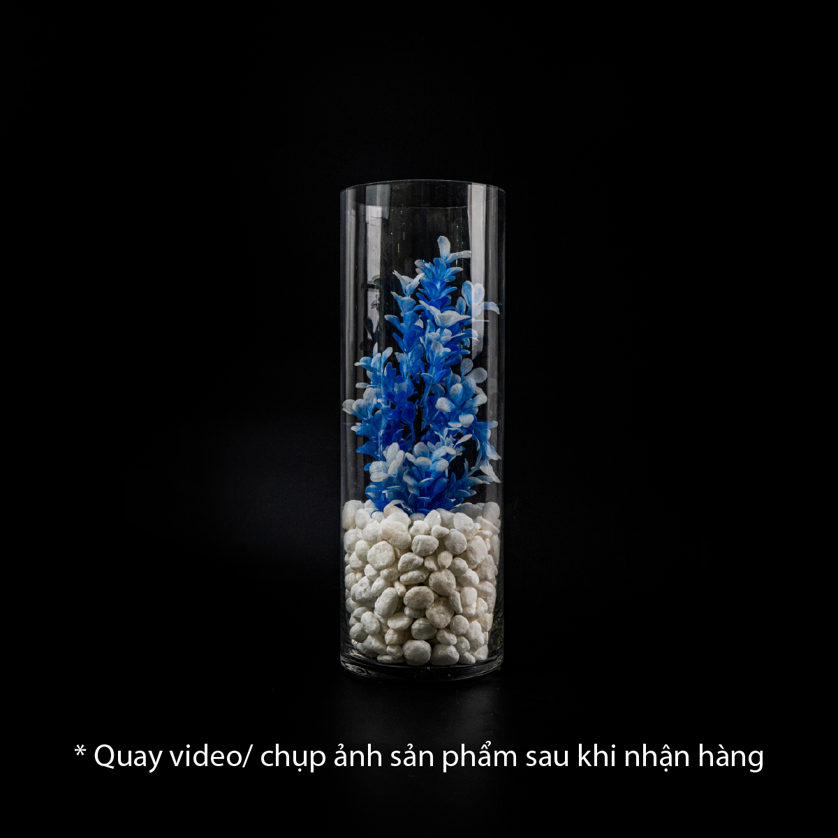Bình thủy tinh hình trụ tròn nuôi trồng thủy sinh, thủy canh, decor không gian