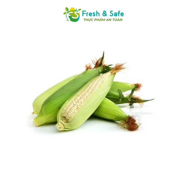 [HOẢ TỐC HCM] Bắp Nếp - 5 trái (Sỉ)