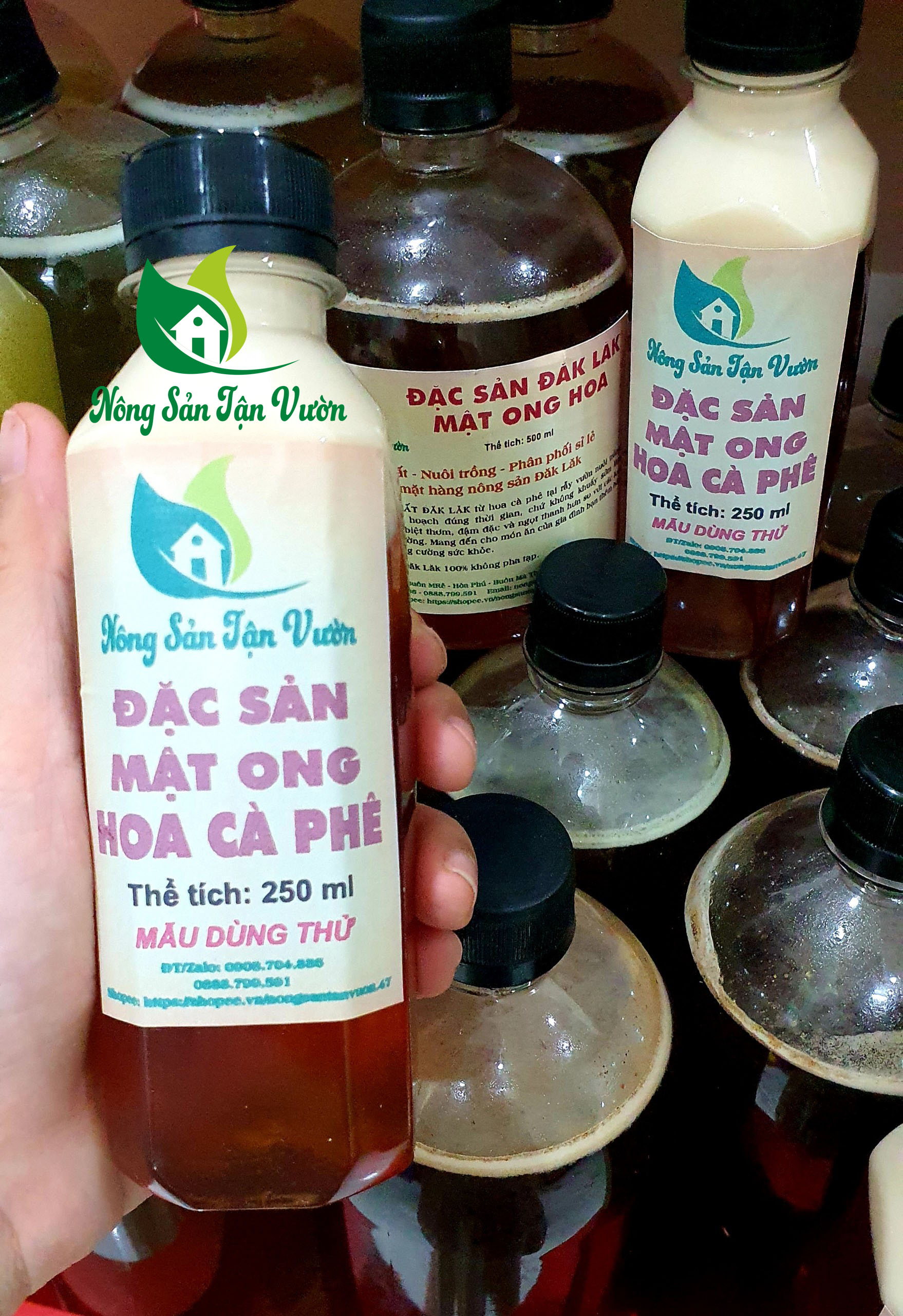 Mật Ong Hoa Cà phê - Mật Ong Hoa Bạc hà - Set dùng thử chai 250ml - Nguồn Nông Sản ĐăkLăk sạch và có chứng nhận đầy đủ.