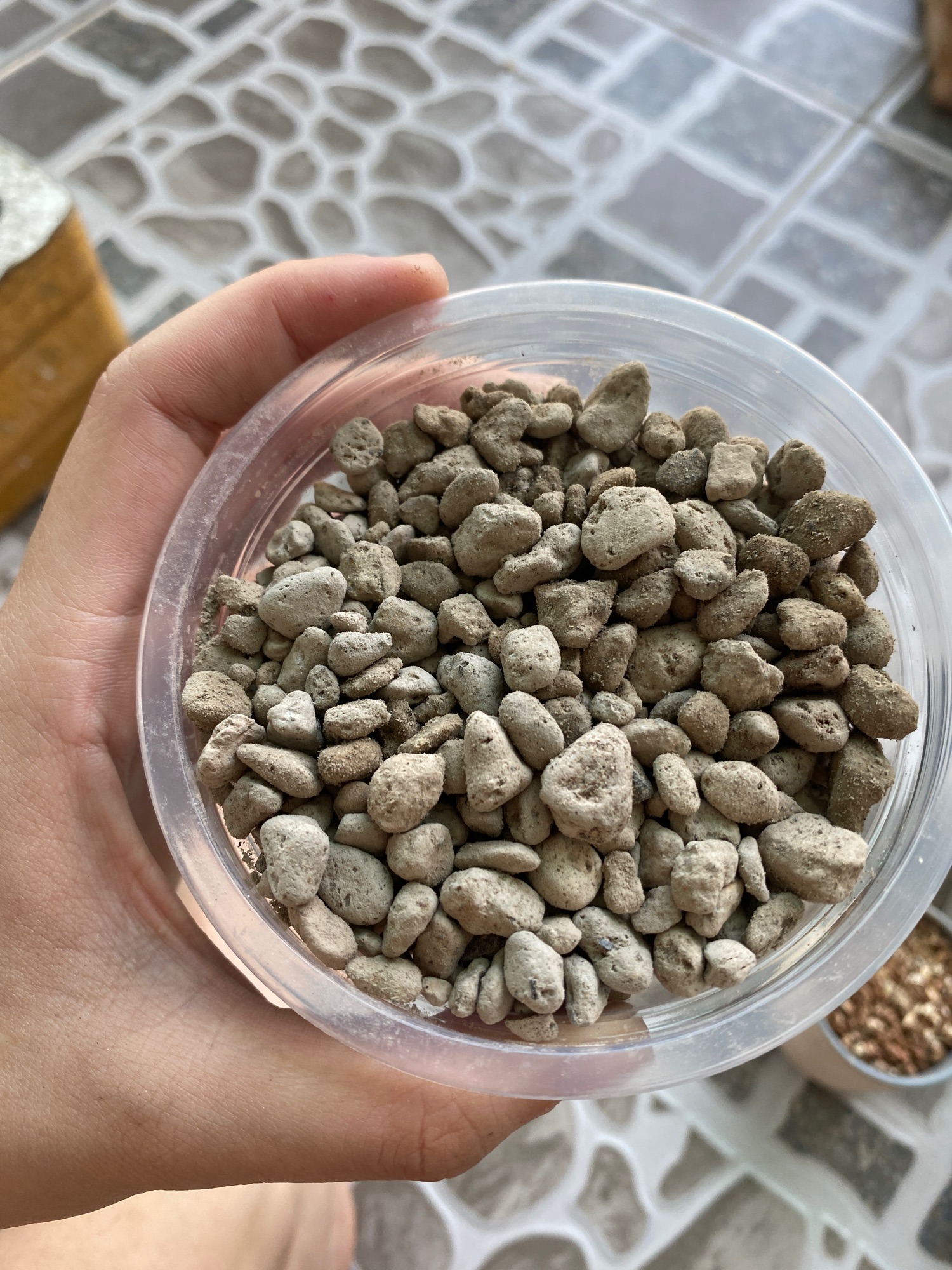 1kg Đá bọt Pumice Indo 5-8mm lót đáy, rải mặt, trộn giá thể trồng Sen đá, Xương rồng, Lan, Hoa hồng, Hương thảo - Vườn Nhỏ Nhỏ