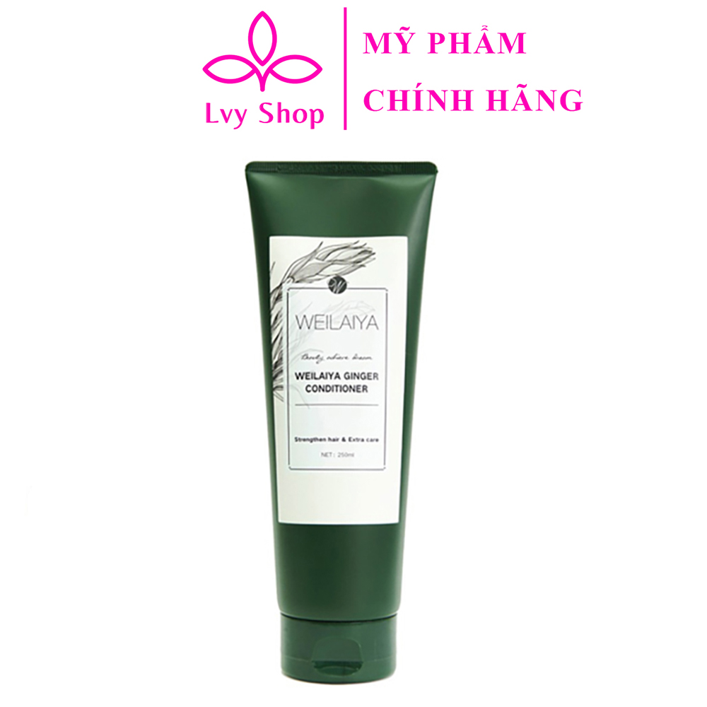 Dầu gội gừng Weilaiya chính hãng Lvy Shop hỗ trợ giảm rụng tóc kích thích mọc tóc nhanh dưỡng tóc mềm mượt