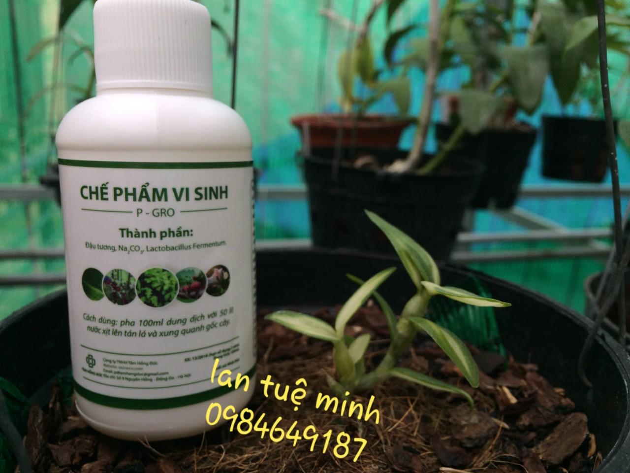 Chế phẩm vi sinh từ đậu tương p-gro 100ml.