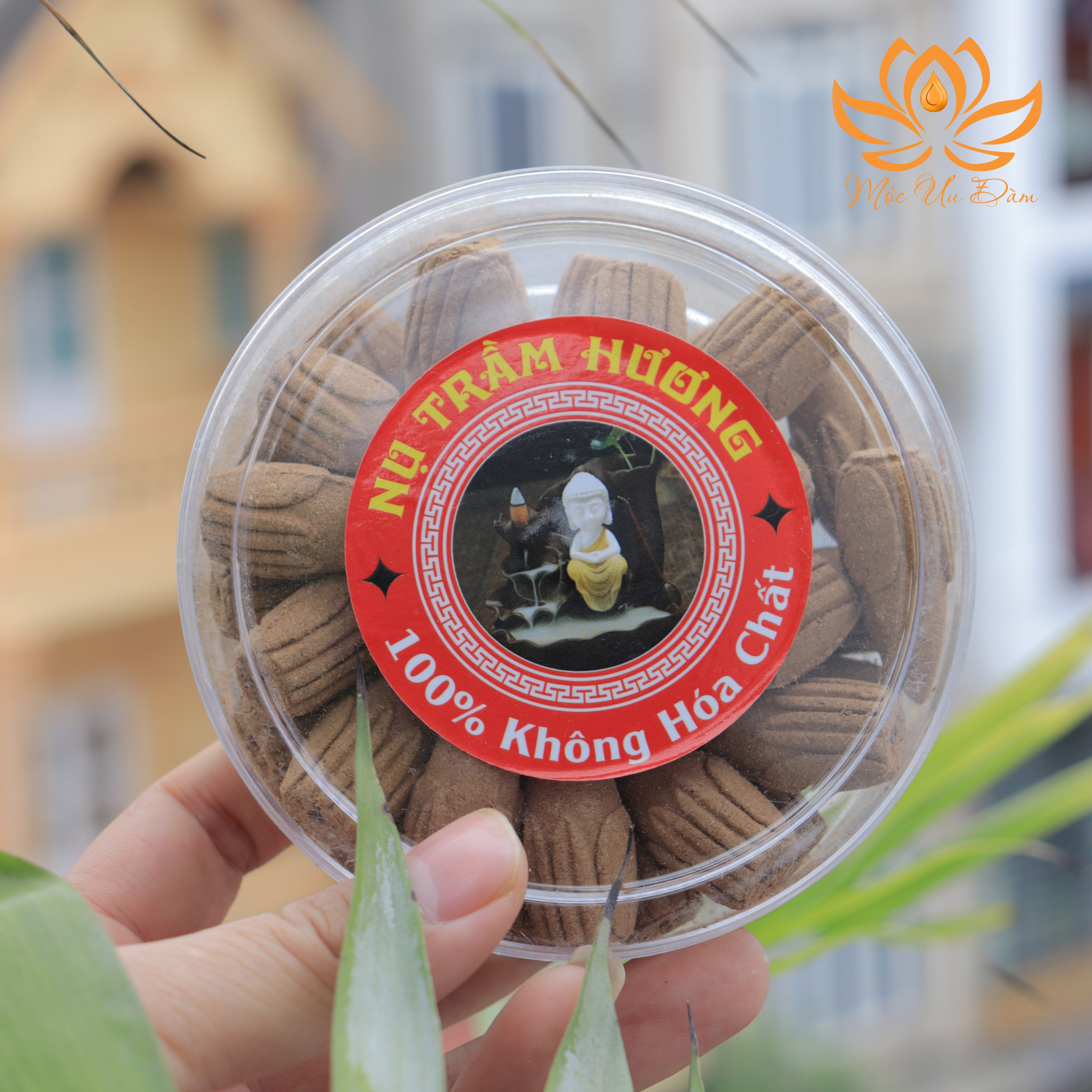 Nụ trầm hương cao cấp - Trầm Hương
