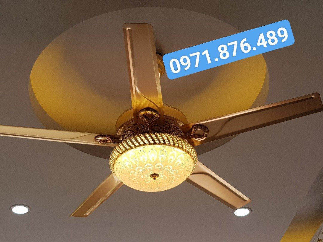 Quạt Trần CERATA 2319FG Hợp Kim Mạ Vàng 24K, Động Cơ DC Tiết Kiệm Điện, Công Suất 90w Lõi Đồng 2 Chiều Gió, Có Remote Tiện Lợi [ Bảo Hành 5 Năm]