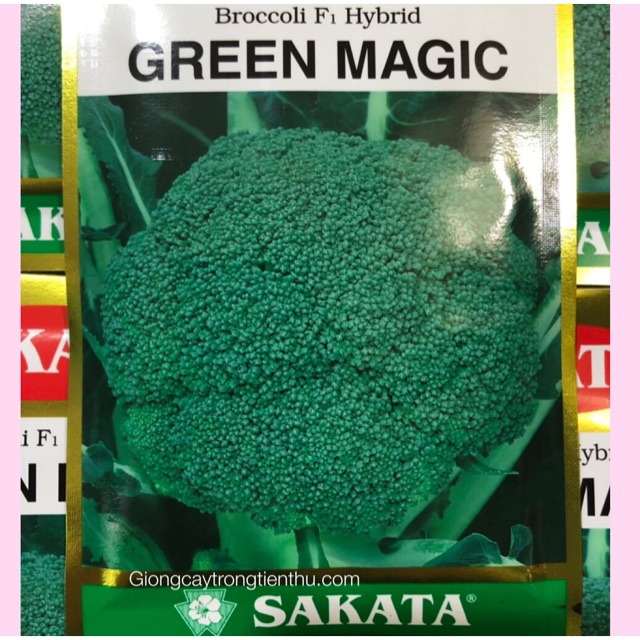 Hạt giống lơ xanh f1 green magic