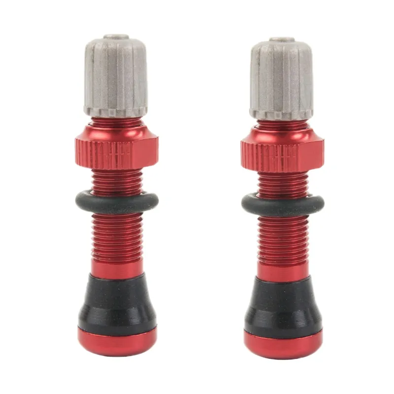 tubeless valve schrader