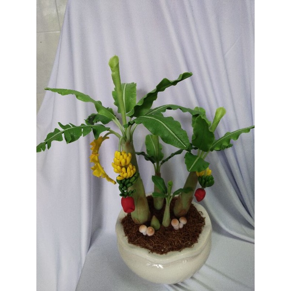 Chậu chuối đất sét 2 buồng